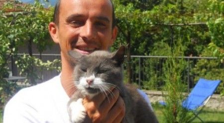 bigione-gatto bigione gatto