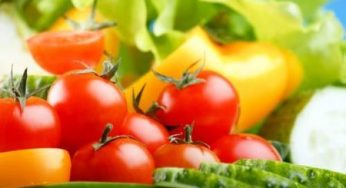 Impatto ambientale ridotto con la nuova tendenza ecosostenibile in cucina