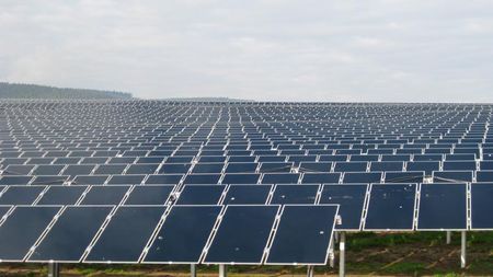 impianti fotovoltaici climi piovosi vigneti solari