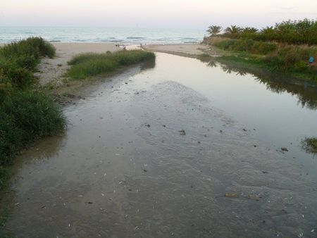 mare sardegna inquinamento microbiologico