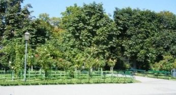 Più aree verdi in centro città: a breve sarà obbligatorio per legge