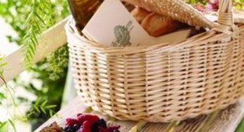L'impatto ambientale oggetto di attenzione anche per un Ferragosto green