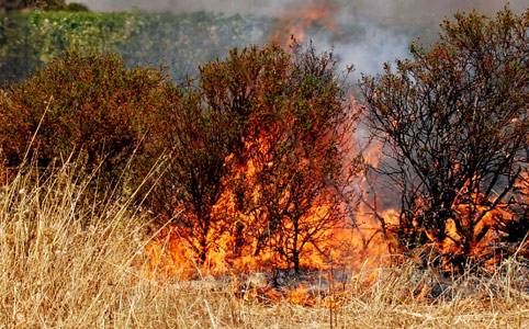 bosco_italia_fuoco_fiamme bosco_italia_fuoco_fiamme
