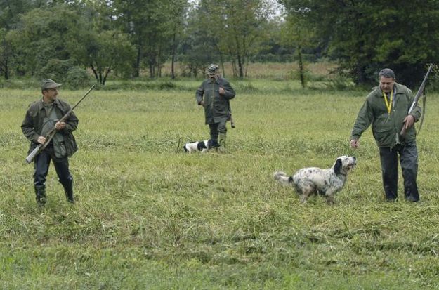 caccia giornata apertura stagione venatoria caccia giornata apertura stagione venatoria