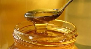 Fra i prodotti biologici anche il miele Ogm dalla Cina