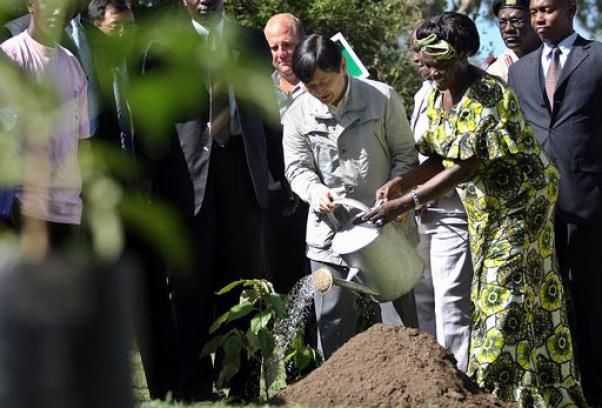 tutela_ambiente_taglio_alberi_Wangari_Maathai