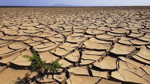 cambiamenti_climatici_terreni_agricoli_desertificazione cambiamenti_climatici_terreni_agricoli_desertificazione
