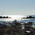 disastro_ambientale_oceano_pacifico