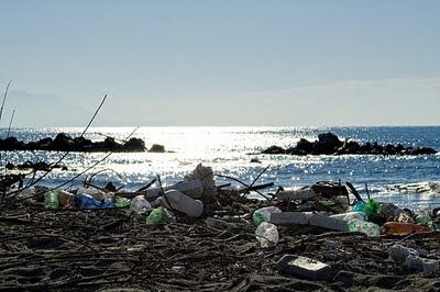 disastro_ambientale_oceano_pacifico disastro_ambientale_oceano_pacifico