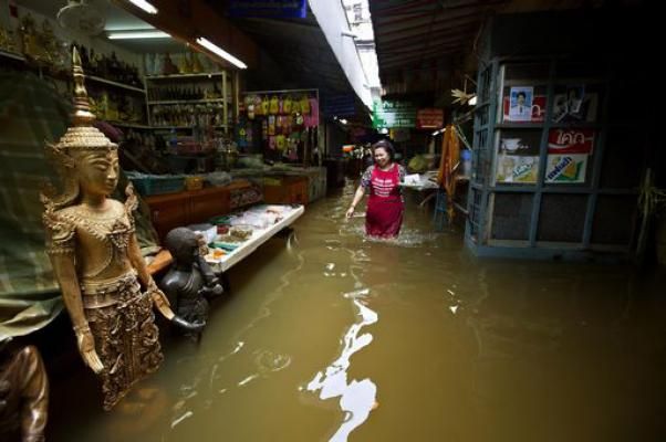 disastro_ambientale_thailandia_fuga_animali_pericolosi