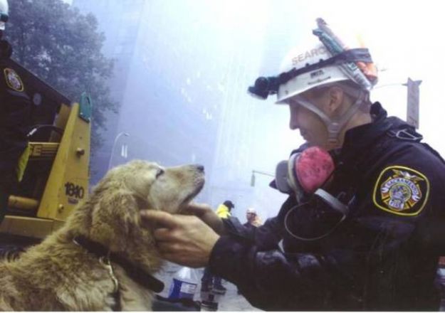foto_cani_11_settembre foto_cani_11_settembre