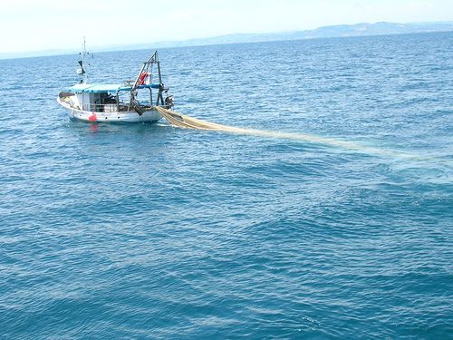 mare_mediterraneo_reti_pesca mare_mediterraneo_reti_pesca