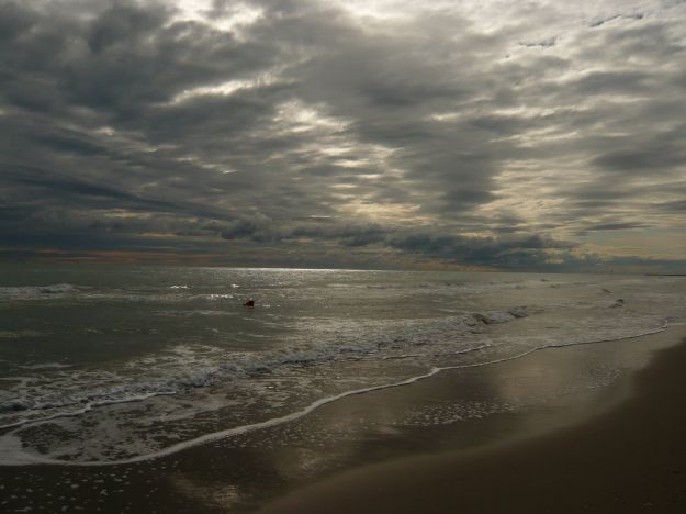 petrolio-mare-nuova-zelanda petrolio mare nuova zelanda