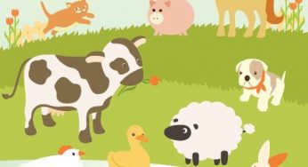 Settimana Vegetariana Mondiale: una festa per la dieta e gli alimenti biologici