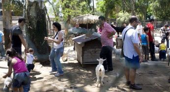Zoo di Napoli dichiarato fallito: si teme per la protezione degli animali