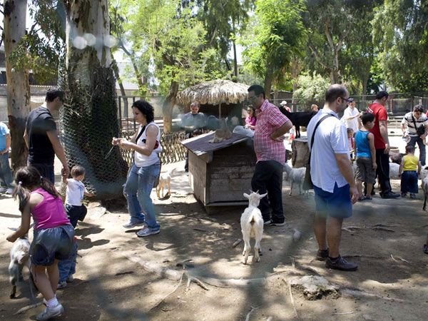 zoo_napoli_protezione_animali zoo_napoli_protezione_animali
