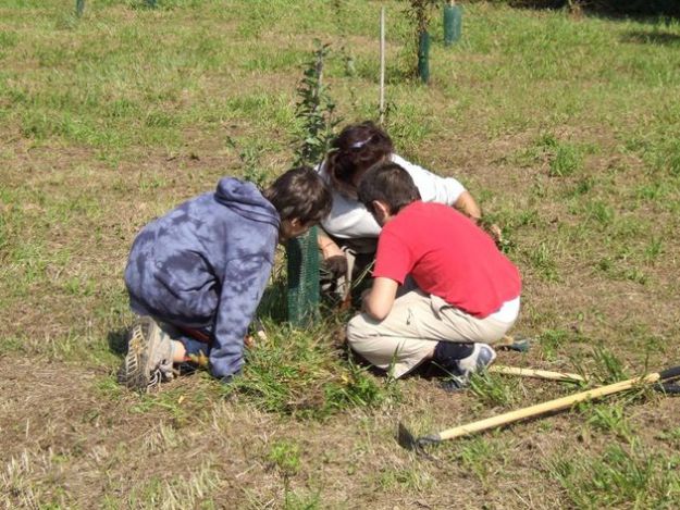 orto in condotta programma educativo ambientale slow food scuole