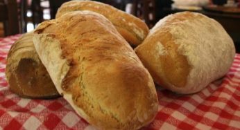 Consumo critico: il 10 dicembre è il Pasta Madre Day