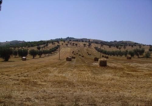 terreni_agricoli_edilizia_italia terreni_agricoli_edilizia_italia