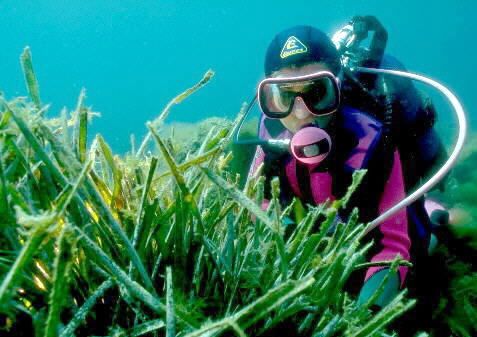 tutela_ambiente_mare_puglia tutela_ambiente_mare_puglia