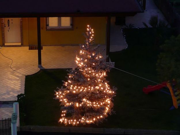 albero di natale 2011 consigli coldiretti