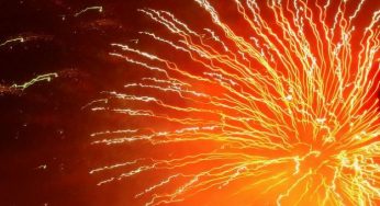 5.000 animali saranno vittime dei botti di Capodanno