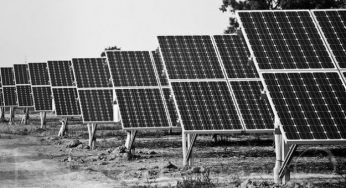 Ecoincentivi per il fotovoltaico: cosa pensano gli Italiani