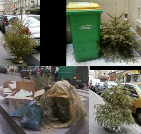 albero_natale_smaltimento_rifiuti albero_natale_smaltimento_rifiuti