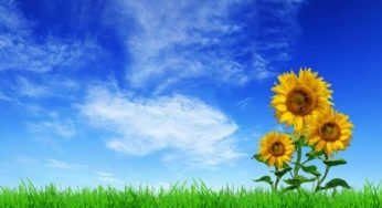 Nel decreto Milleproroghe novità per la sostenibilità ambientale: ecco quali