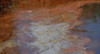 Inquinamento ambientale: come combattere quello causato dall'olio, grazie alla raccolta differenziata