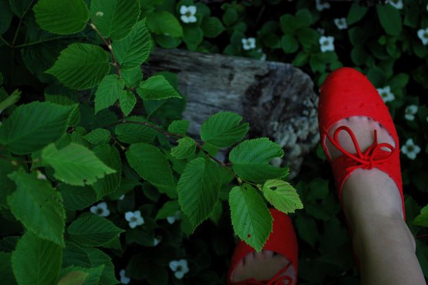 consumo_critico_scarpe_ecosostenibili consumo_critico_scarpe_ecosostenibili