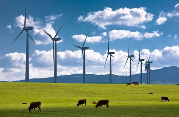 energie-rinnovabili-anev-eolico energie rinnovabili anev eolico