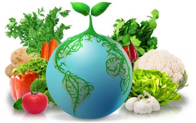 growtheplanet-orti-social-network growtheplanet orti social network