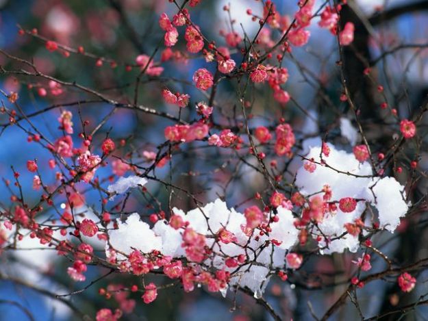 primavera in italia temperature siccita