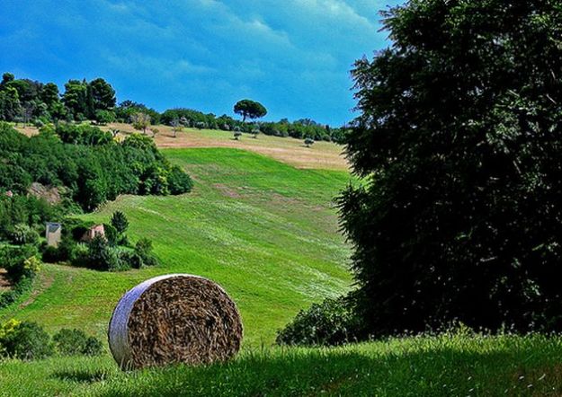 salvaguardia-ambiente-basilicata salvaguardia ambiente basilicata