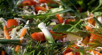 Alimenti biologici, mangiare sano fa diventare antipatici