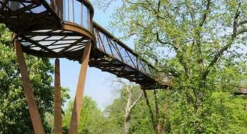 Avventure in cima agli alberi, i percorsi naturali a Berlino e a Londra