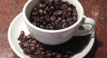 Riutilizzo del caffè: gli usi alternativi che se ne possono fare