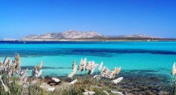Eolico in mare nel golfo dell'Asinara, le proteste degli ambientalisti