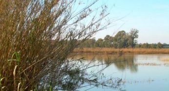 La Settimana delle Aree protette, dal 19 al 27 maggio a favore della biodiversità