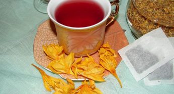 Infusi e tisane fai da te: scopri come farli in casa