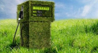 Riciclo e riuso: biocarburante dal vecchio whisky