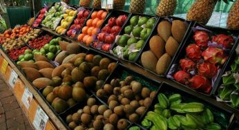 Alimentazione sostenibile: fare attenzione ai cibi ricchi di pesticidi
