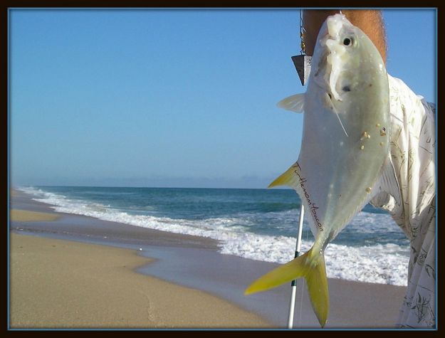 pesca_italia_settore_ittico pesca_italia_settore_ittico