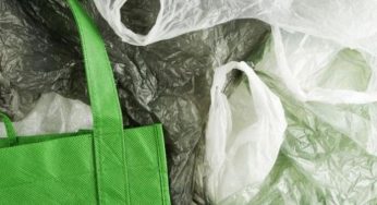 Spesa ecologica, idee per rendere le borse ecosostenibili