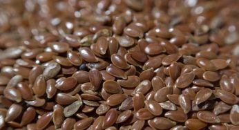 Proprietà nutritive dei semi: l'elenco completo