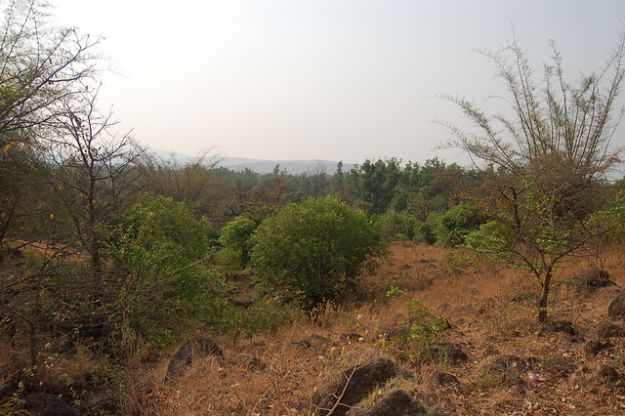 india_western_ghats_sito_unesco india_western_ghats_sito_unesco