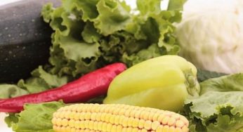 Piatti freschi estivi di verdure: ecco qualche esempio