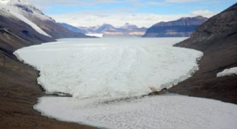 Antartide misteri: 50 milioni d'anni fa era coperta di boschi?