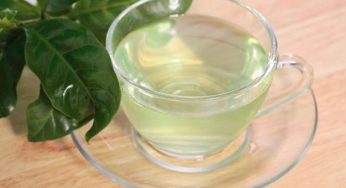 The verde alla menta: la ricetta veloce per l'estate